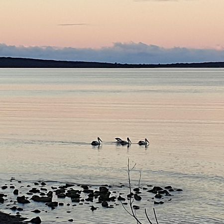 Port Lincoln Caravan Park North Shields Buitenkant foto